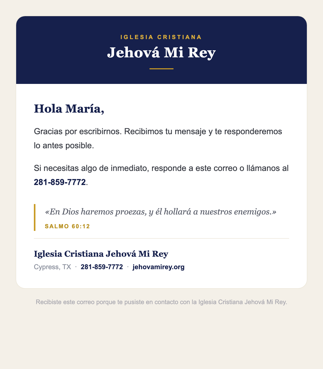 Branded confirmation email — Recibimos tu mensaje